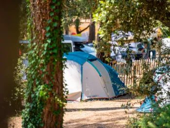 Emplacement - Forfait Confort : Tente / Van / Électricité - Flower Camping Monplaisir