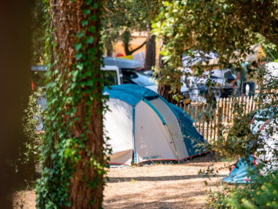 Comfort package: tent / van / electricity — 1