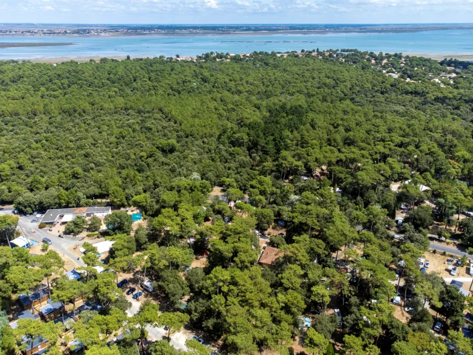 Flower Camping Monplaisir