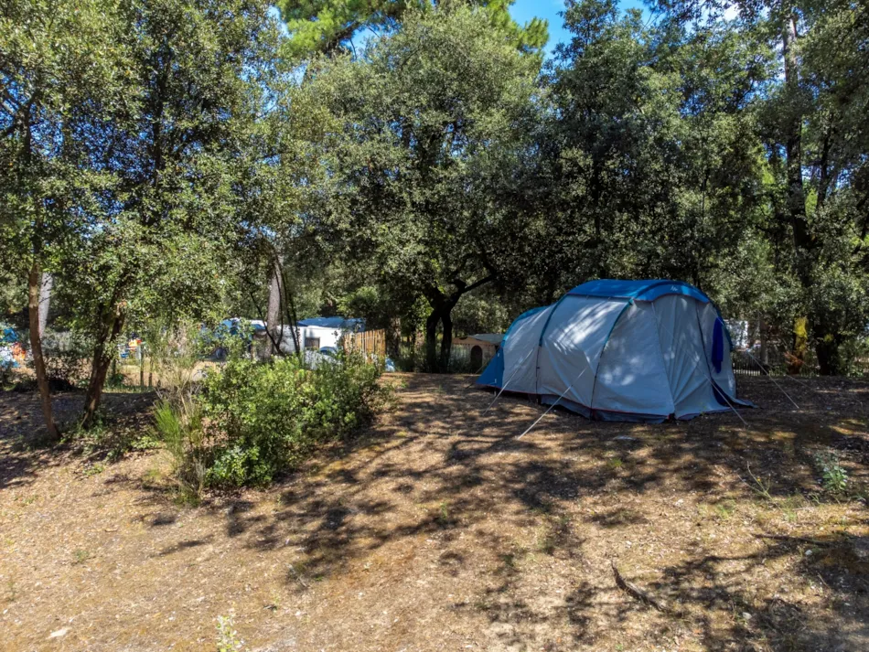 Flower Camping Monplaisir