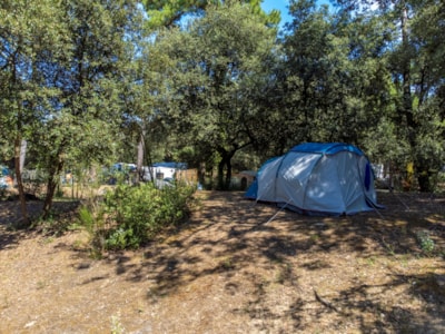 Flower Camping Monplaisir