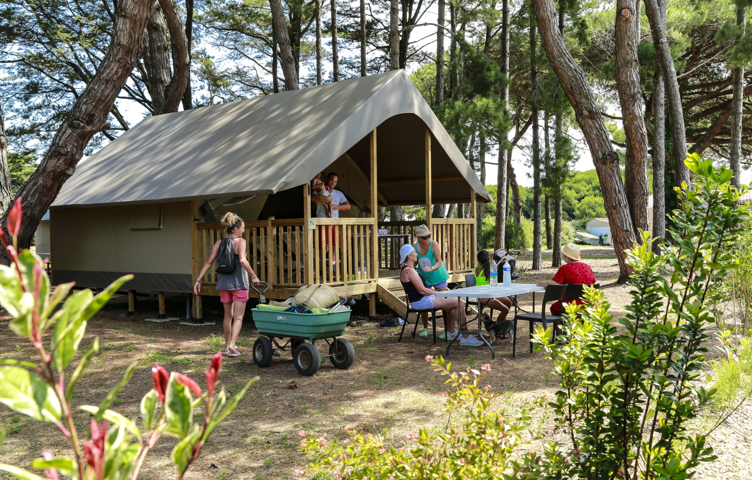 Flower Camping Tamarins Plage  — Foto 8