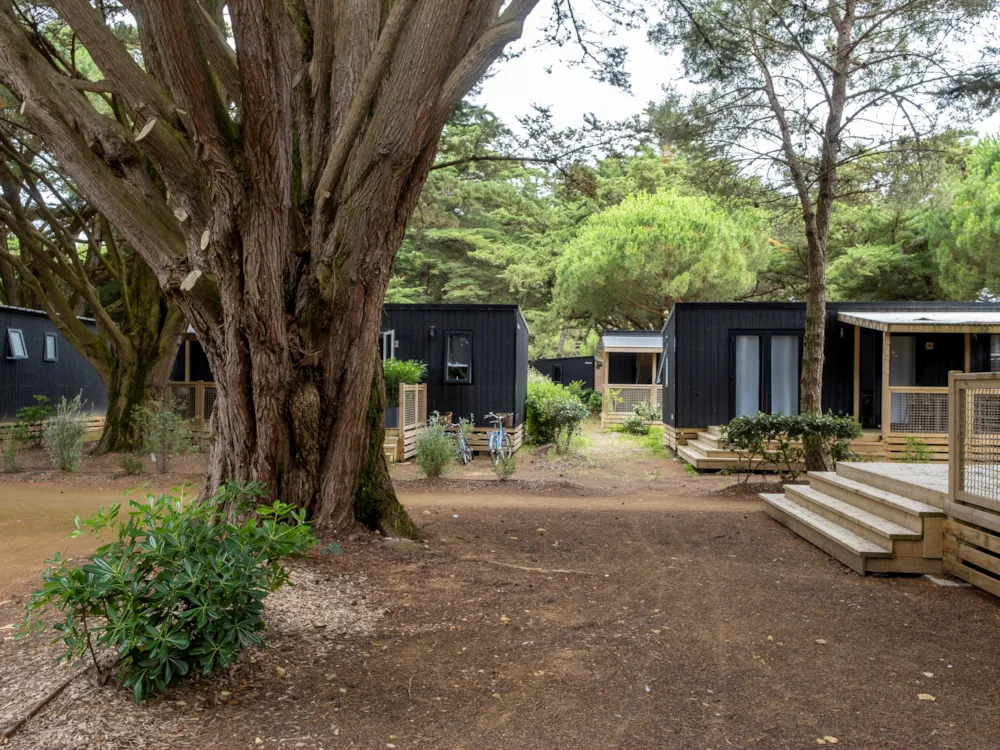 Location - Mobil-Home Premium 34M² (3 Chambres - 6 Pers.) + Terrasse Couverte + Tv + Draps Et Serviettes Inclus - Flower Camping Tamarins Plage 