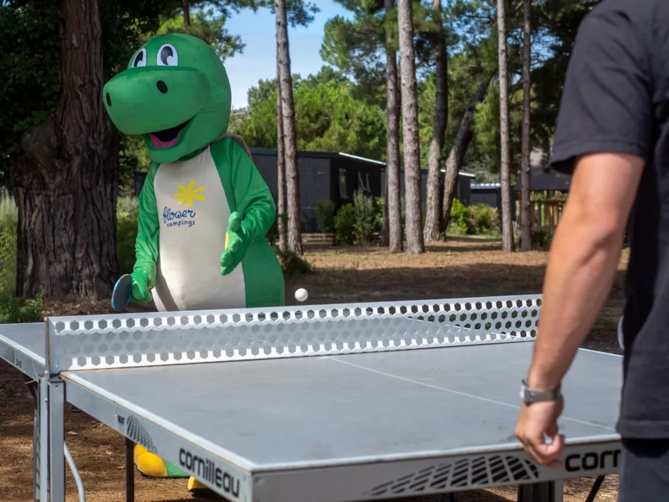 Flower Camping Tamarins Plage 