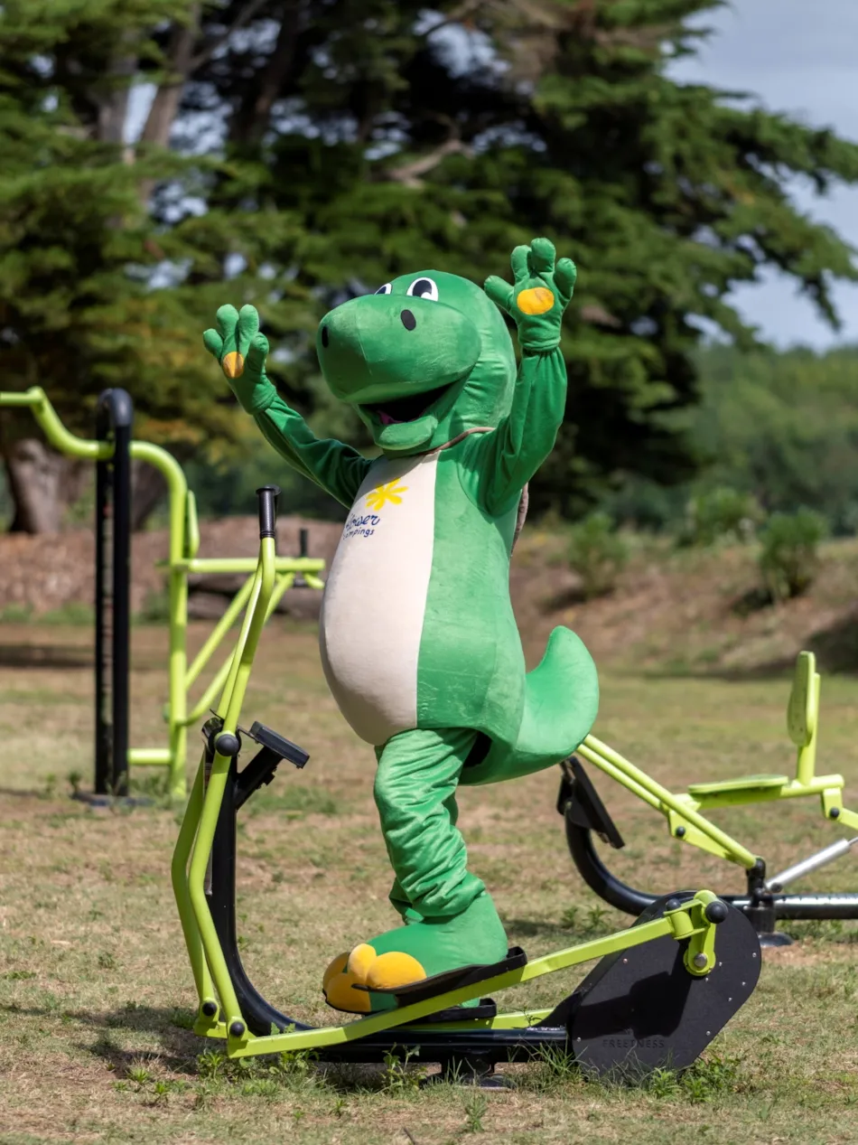 Flower Camping Tamarins Plage 