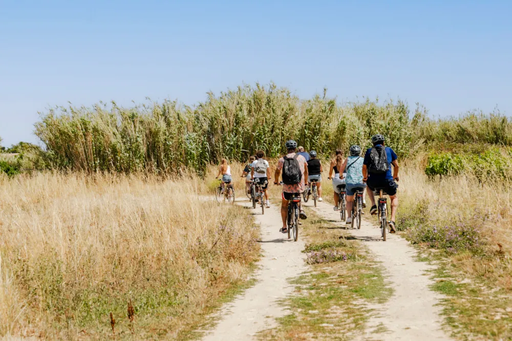 Ushuaïa Villages - Camping les Fougères 