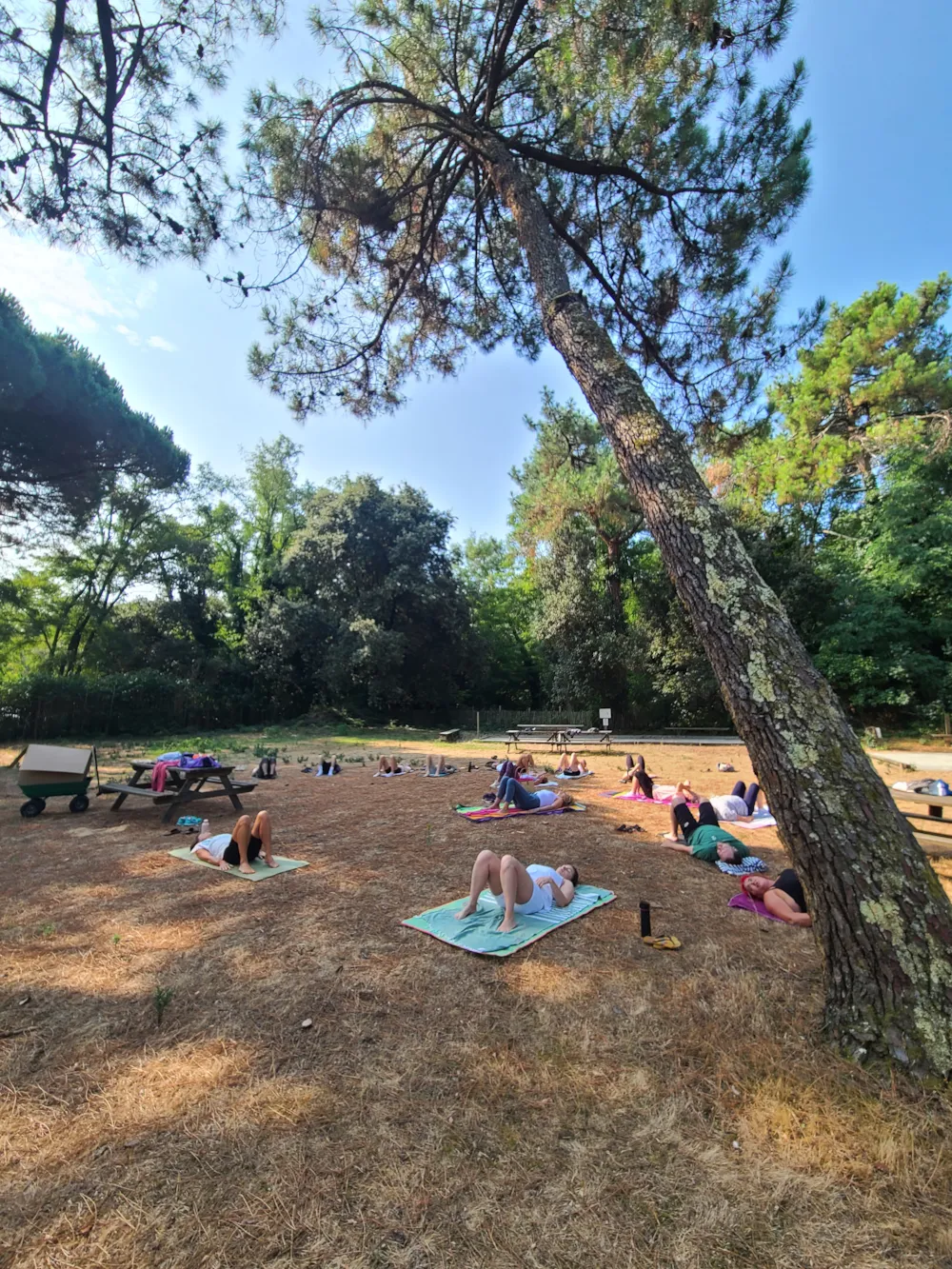 Ushuaïa Villages - Camping les Fougères 