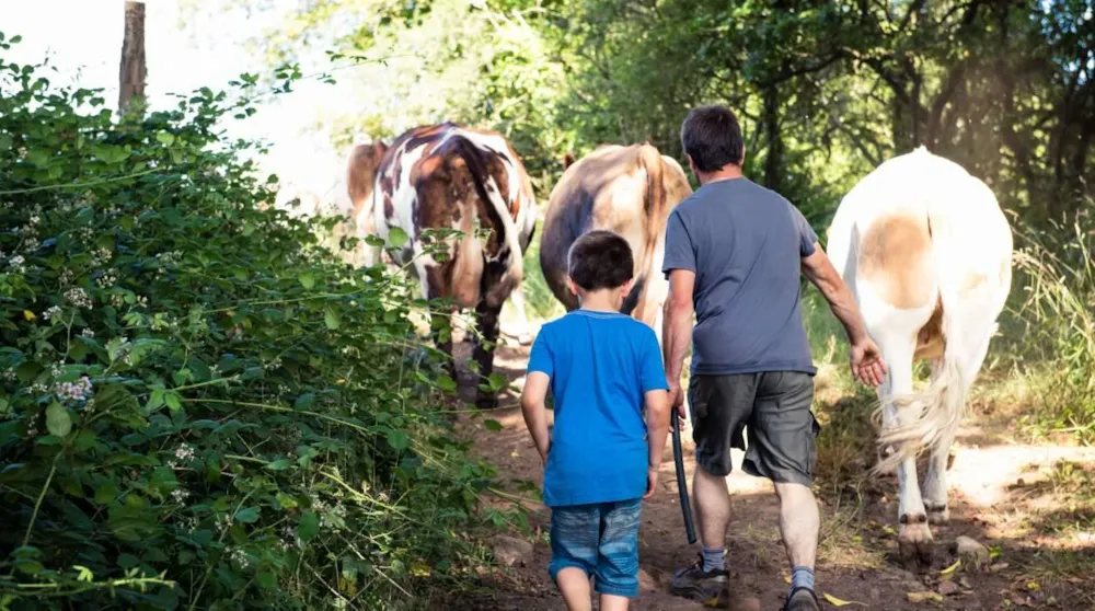 La Ferme de Penquelen