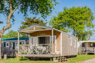 Mobile home GRAND CONFORT 2 bedrooms 24m² TV — 1