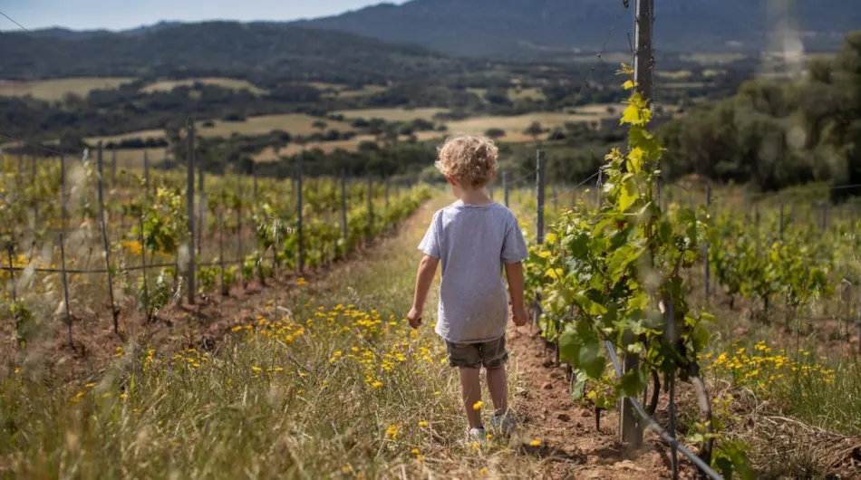 Figari Corsica Collection