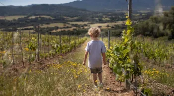 Figari Corsica Collection - MyCamping