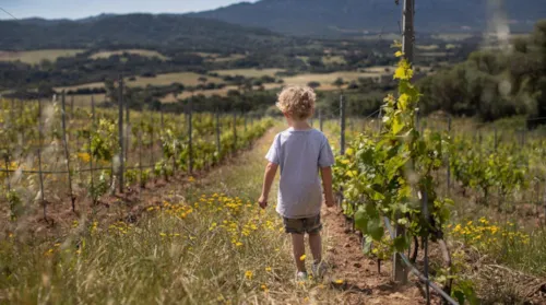 Figari Corsica Collection