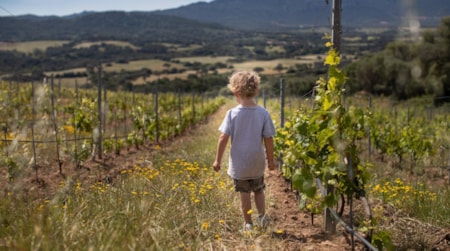 Figari Corsica Collection