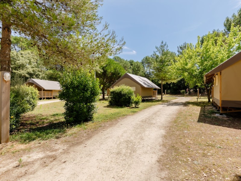 Camping Demoiselles Plage photo 5