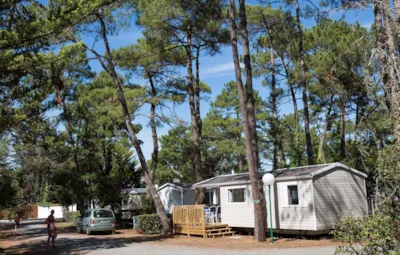 Flower Camping Les Dunes - Pays de la Loire