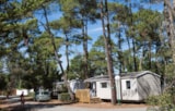 Foto #6 van Flower Camping Les Dunes