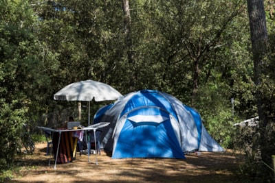 Pitch + car + tent or caravan + electricity
