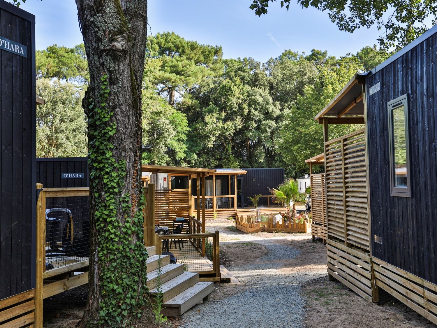 Flower Camping Les Dunes — Photo 4