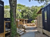 Foto #4 van Flower Camping Les Dunes