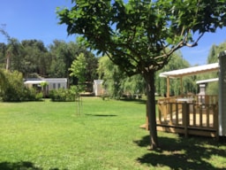 Camping Milella - image n°2 - Roulottes