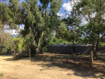 Pitch - Rv Site For 2 People & Electricity - Camping Milella