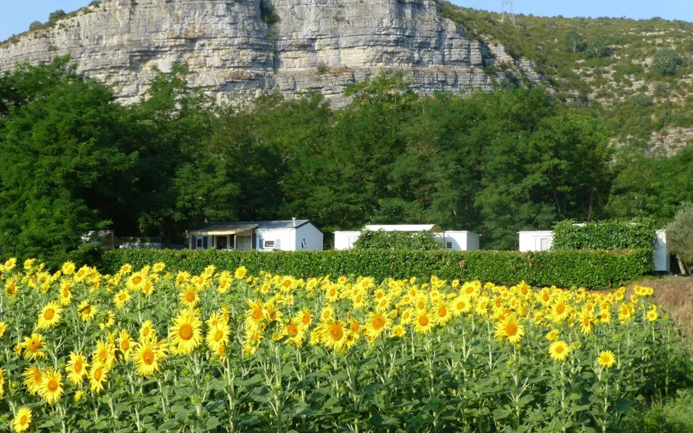 Camping Les Vernades - image n°1 - Ardeche