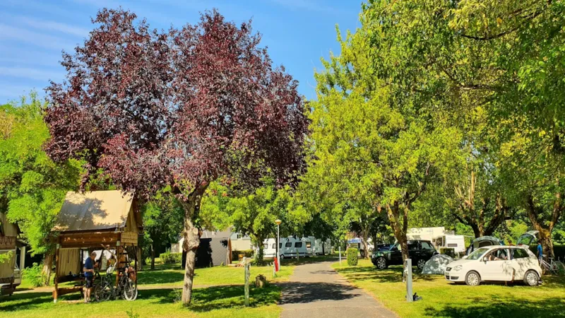 Camping Les Patis - image n°1 - Camping Direct