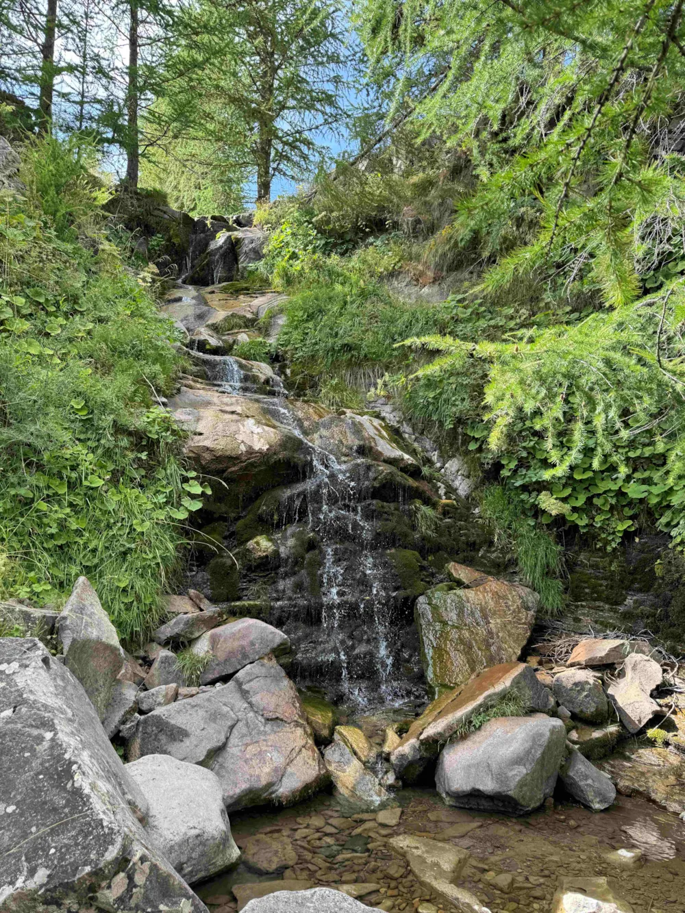 Camping Le Haut Verdon