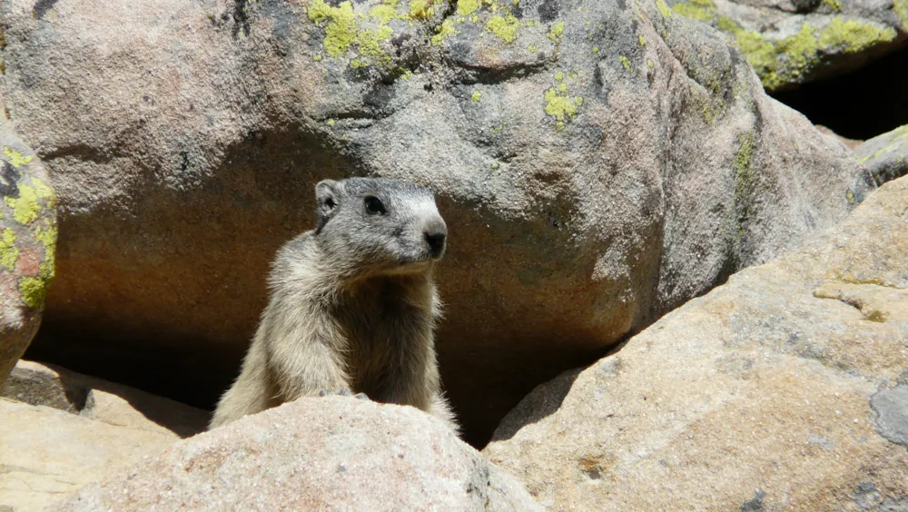 Camping Le Haut Verdon