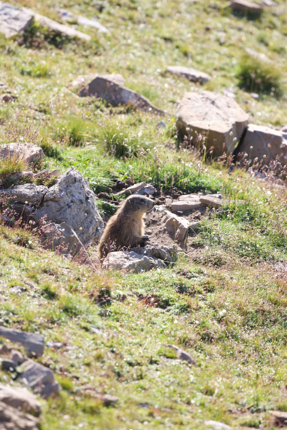 Camping Le Haut Verdon