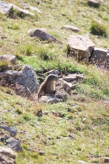 Foto #58 van Camping Le Haut Verdon