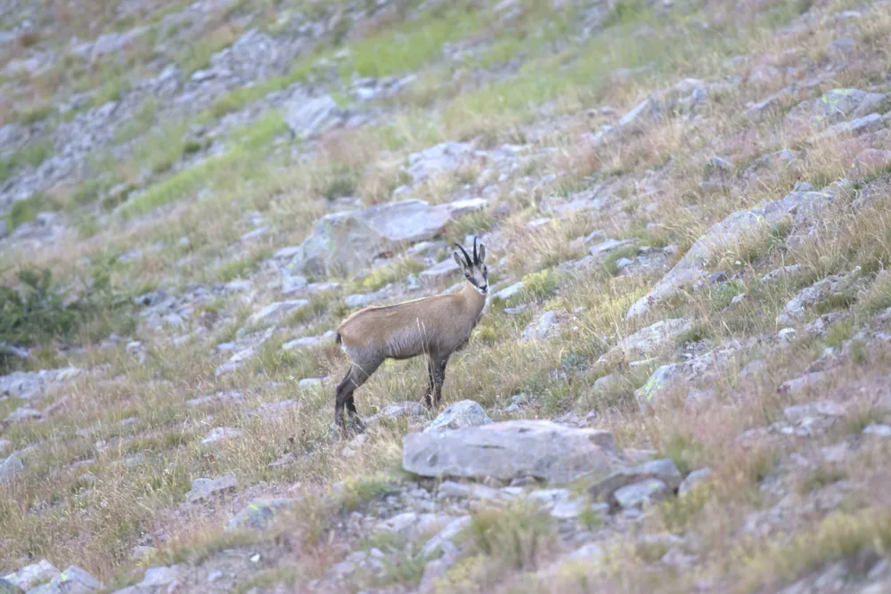 Camping Le Haut Verdon