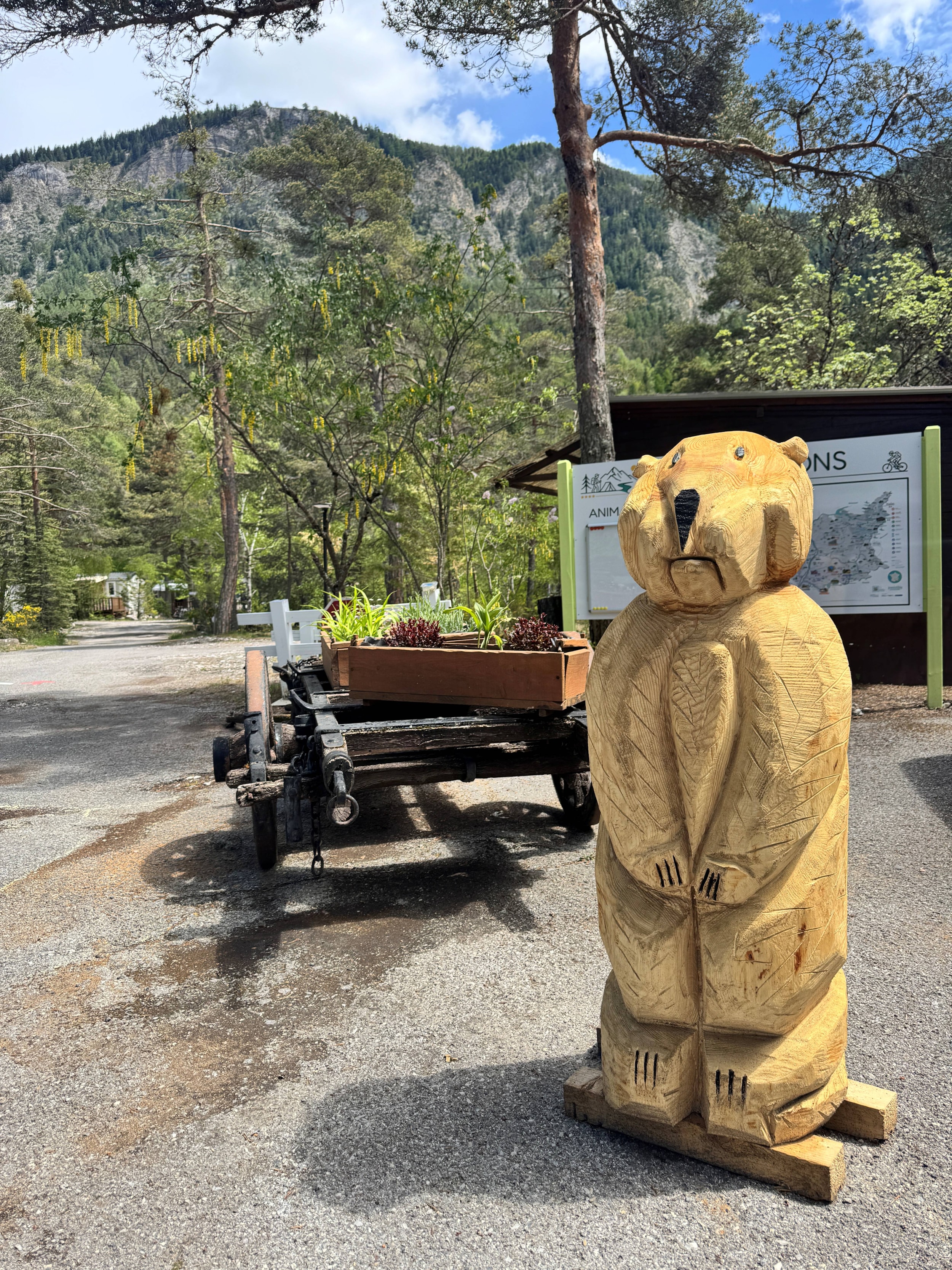 Camping Le Haut Verdon — Foto 5
