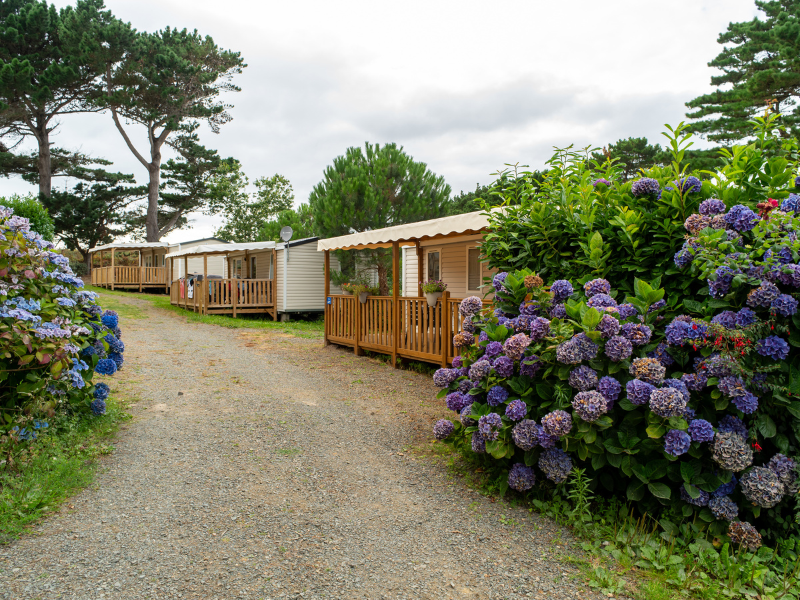 Flower Camping Port de la Chaîne — Photo 6