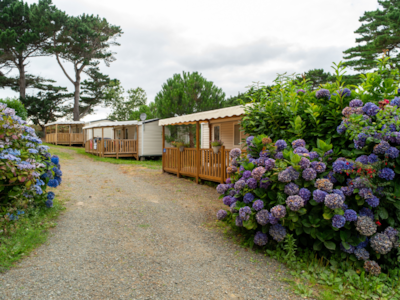 Flower Camping Port de la Chaîne