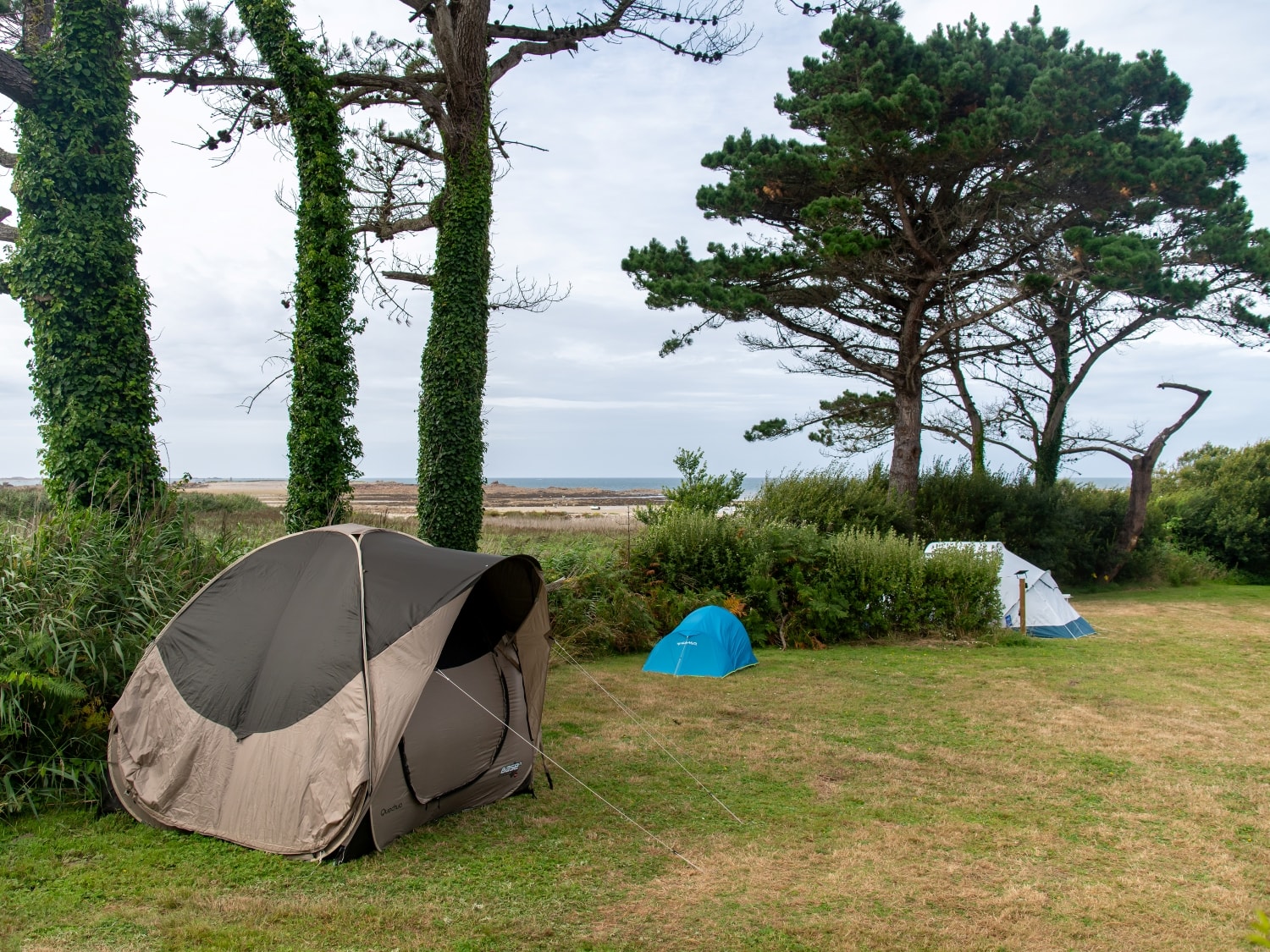 Flower Camping Port de la Chaîne — Photo 8