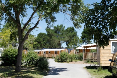 Mobile Home Confort 22m² - 2 bedrooms - Semi-covered terrace - TV - dishwasher
