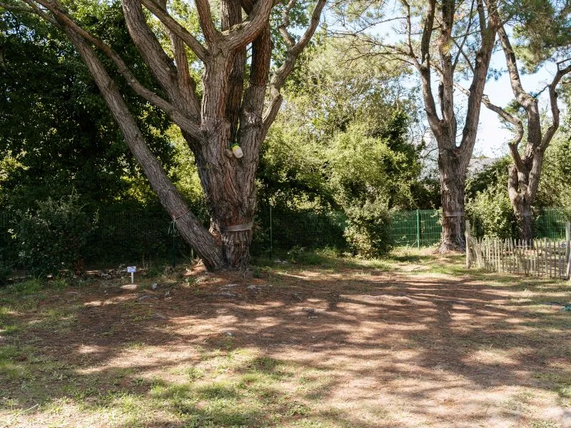 Forfait Confort : Tente, Caravane Ou Camping-Car / 1 Voiture / Électricité 10A