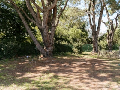 Comfort package: tent, caravan or motorhome / 1 car / 10A electricity