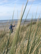 Foto #27 van Ushuaïa Villages Domaine du Blanc Pignon