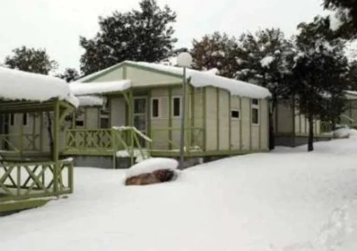 Camping Pinar del Rey