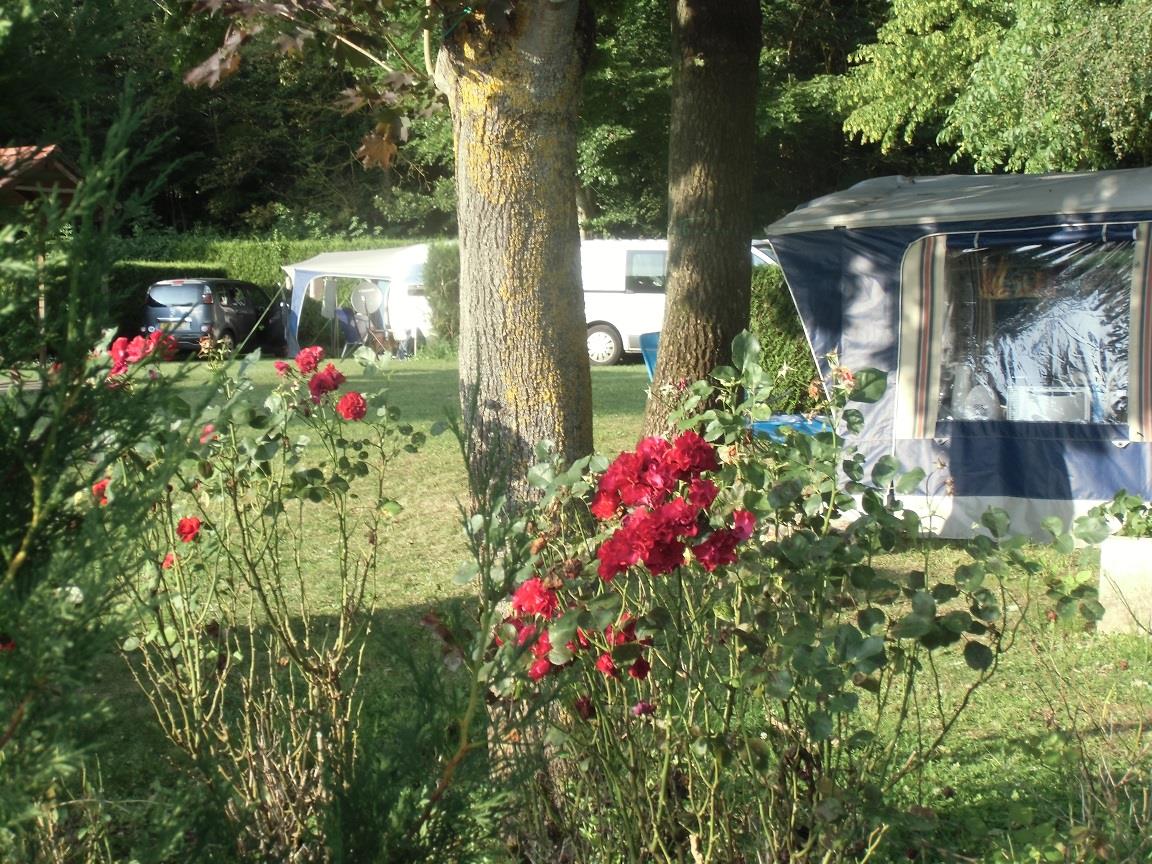 Standplaats (1 tent, caravan of camper / 1 auto)