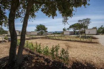 Stellplatz - Stellplatz Superior 95-156 M² - Camping Ugljan Resort