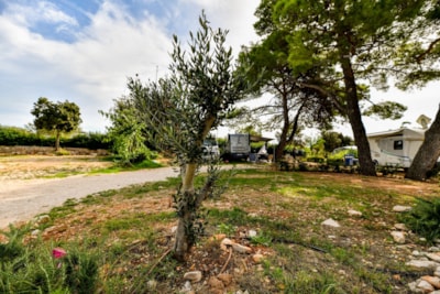 Pitch Premium 100-140m²