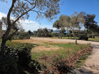 De luxe Premium Pitch 140-230m²