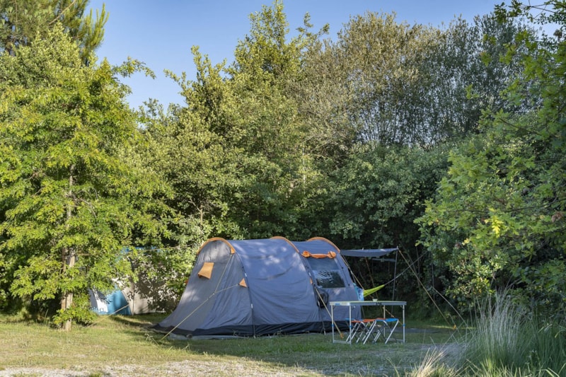 Standplaats Tent ***