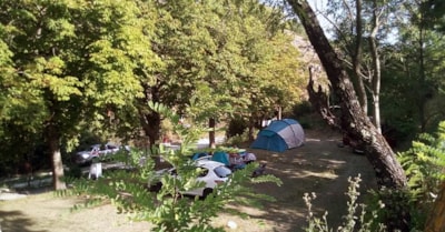 Place tent / caravan — 3