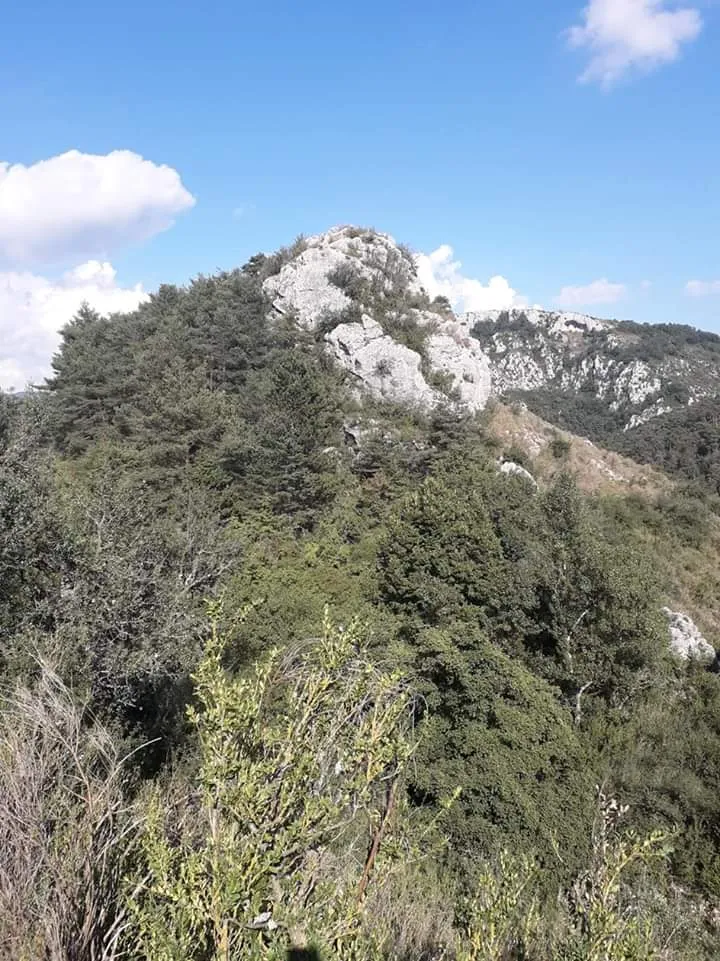 Emplacement Solo Avec Véhicule
