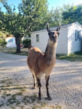 Foto #3 van Camping La Gantesse