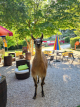 Foto #8 van Camping La Gantesse